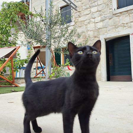 Apartmani Peljesac Sova 斯瑞瑟尔 外观 照片