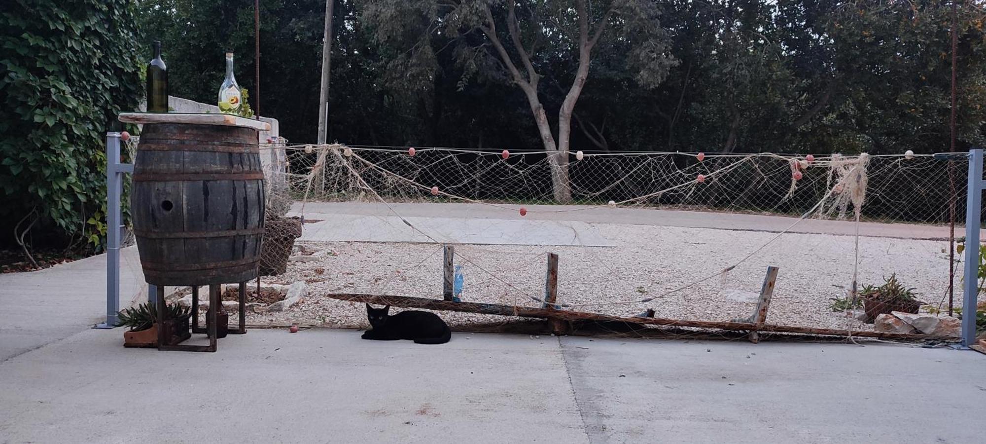 Apartmani Peljesac Sova 斯瑞瑟尔 外观 照片