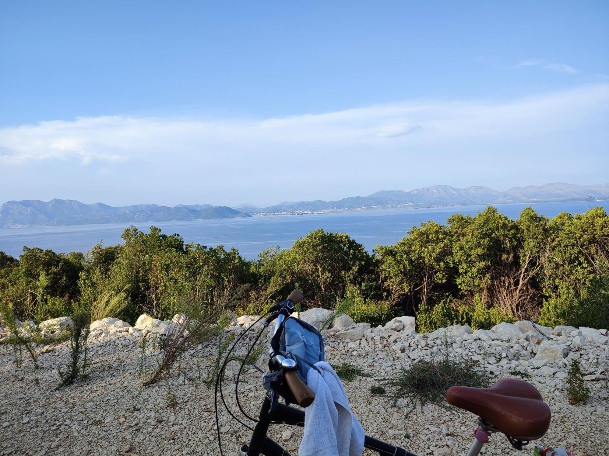 Apartmani Peljesac Sova 斯瑞瑟尔 客房 照片