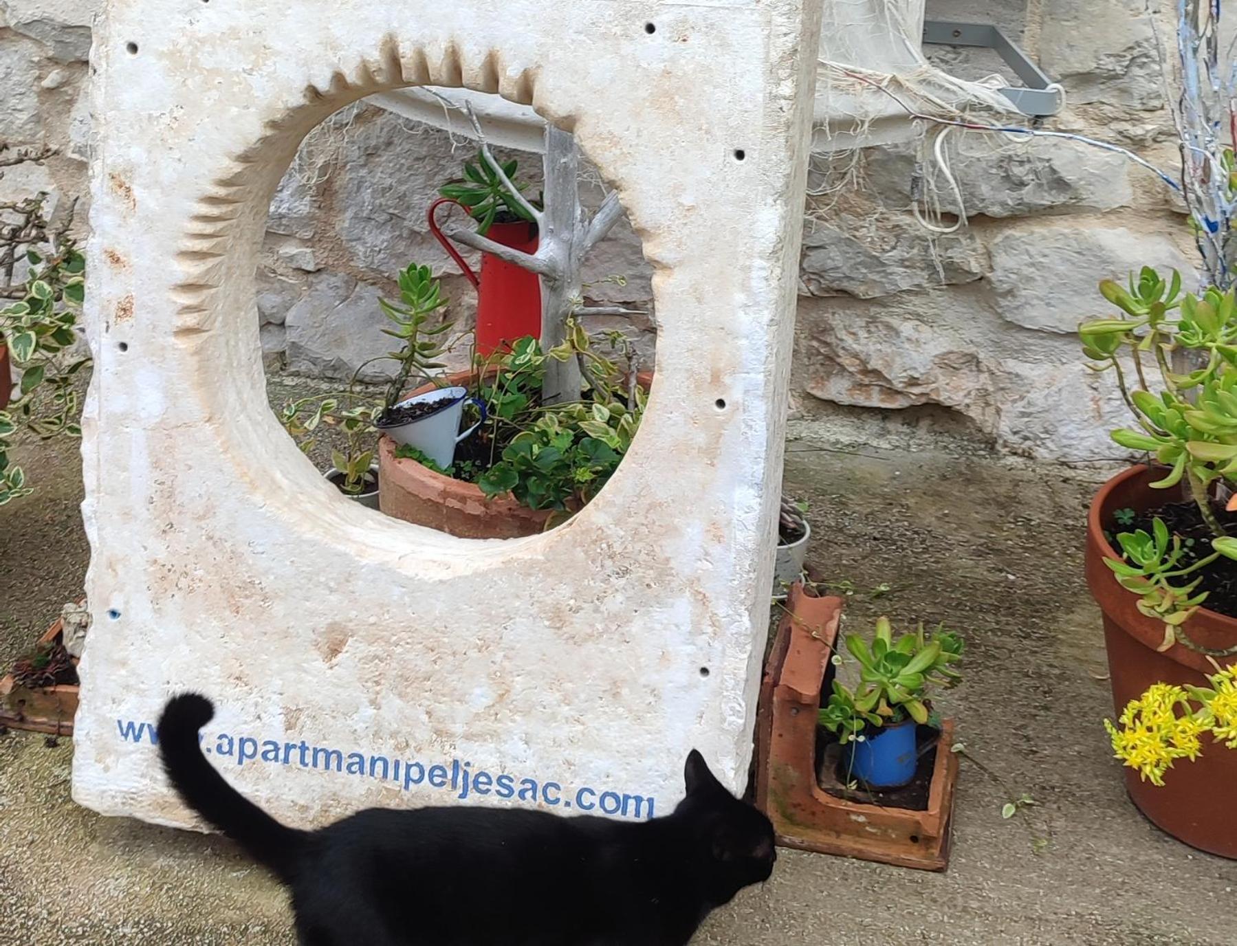 Apartmani Peljesac Sova 斯瑞瑟尔 外观 照片